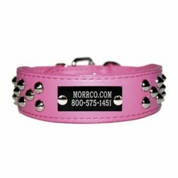 Pink Leather Collar with Studs and Name Plate
