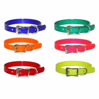  Puppy Collar