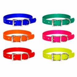 Puppy Collar