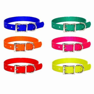  Puppy Collar