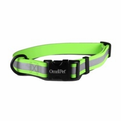 Reflective Beta Dog Collars