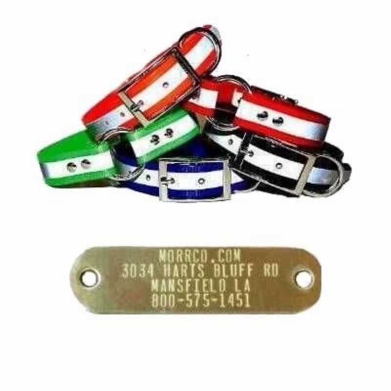 Reflective Sunglo Collar with Name Plate