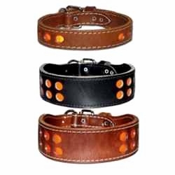 Reflective Leather Dog Collars