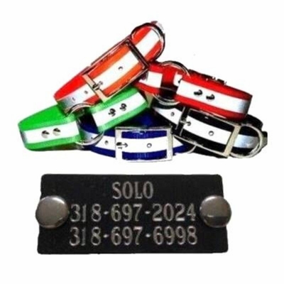 Reflective Sunglo Collar + Aluminum Plate