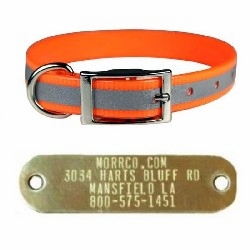 Reflective Sunglo Collar with Name Plate