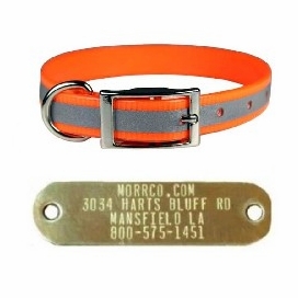 Reflective Sunglo Collar with Name Plate