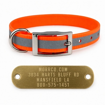 Reflective Sunglo Collar with Name Plate