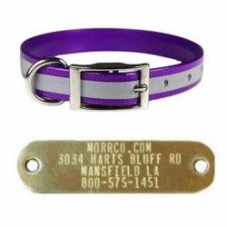 Reflective Sunglo Collar with Name Plate