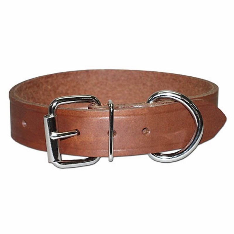 Regular Bully Dog Collar 3/4 Inch Wide