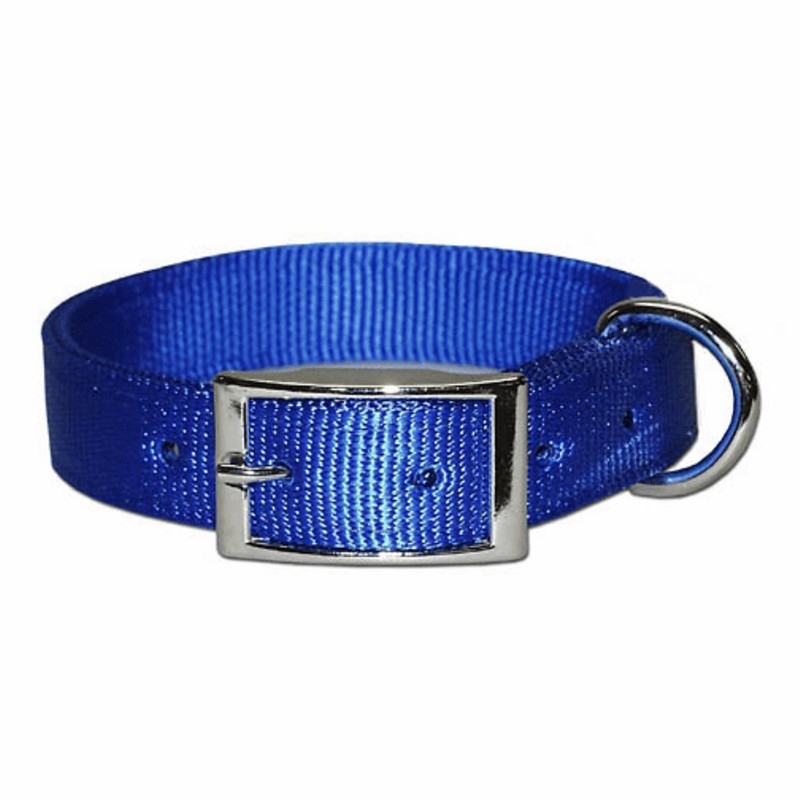 Regular Nylon Dog Collar 3/4 Inch Wide