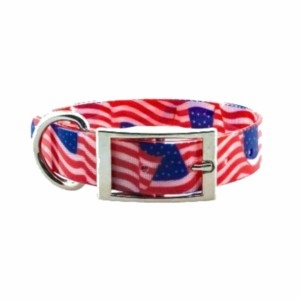 Regular Sunglo Dog Collars 1 in wide