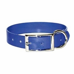 Regular Sunglo Dog Collars 1 in wide