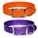 Regular Sunglo Dog Collars 1 in wide