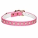 Rhinestone Dog Collars 5/16 inch wide