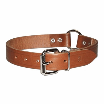  Ring-in-Center Bully Leather Dog Collar 3/4 inch wide