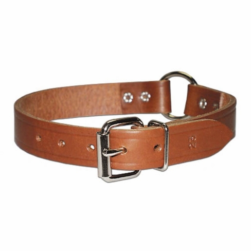 Ring in Center Dog Collar 1 Inch Wide