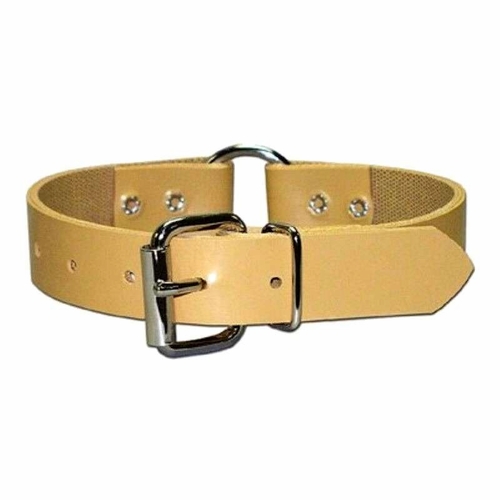 Ring-in-Center Perma Dog Collar 3/4 In Wide