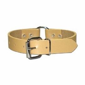 Ring-in-Center Perma Dog Collar 3/4 In Wide