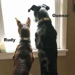 Rudy And Gunnar