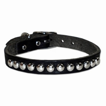 Small Leather Collar with Studs