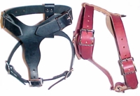 Small Leather Harness