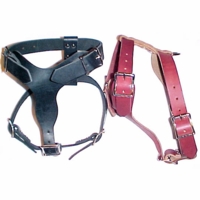 Small Leather Harness