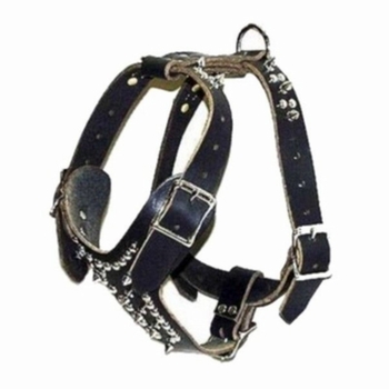 Small Spiked Harness 