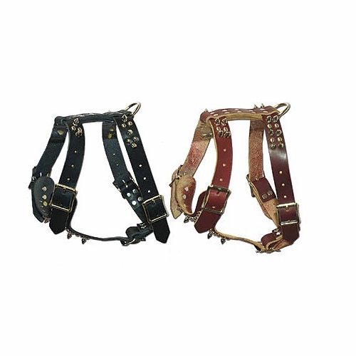 Small Spiked Dog Harness
