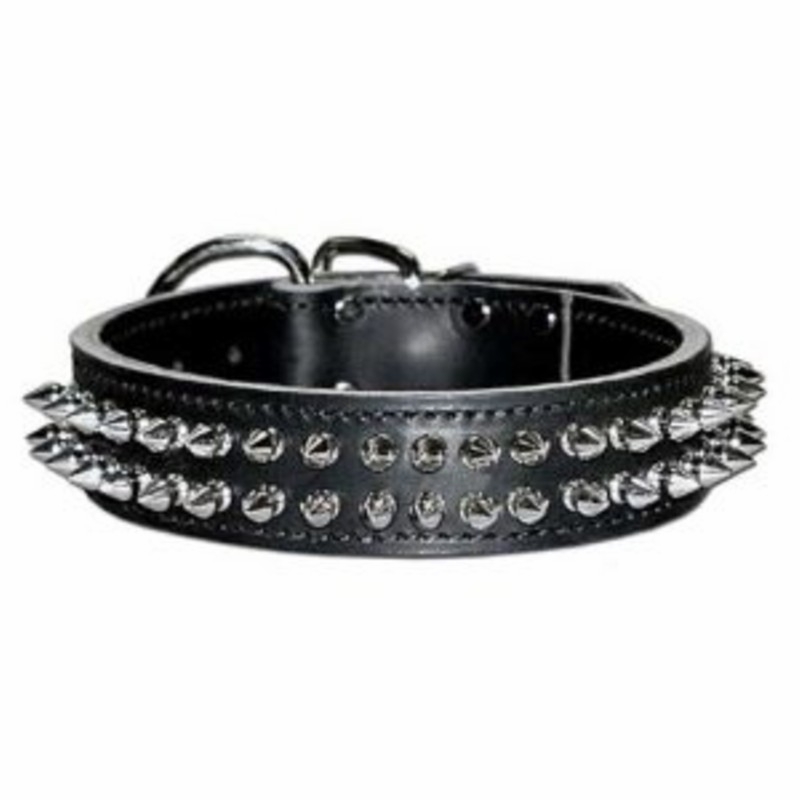Spike Collar  1-1/2 inch wide