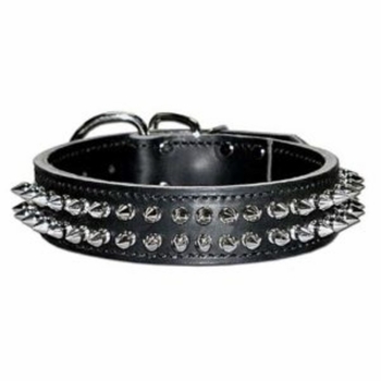 Spike Collar  1-1/2 inch wide