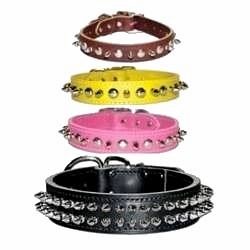 Spiked Dog Collars
