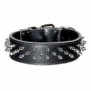 Spiked Leather Collar  1-1/2 inch wide