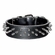 Spiked Leather Collar  1-1/2 inch wide