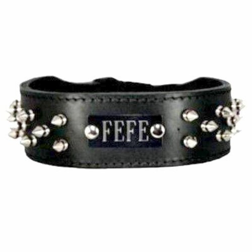 Spiked Leather Collar with Name Plate