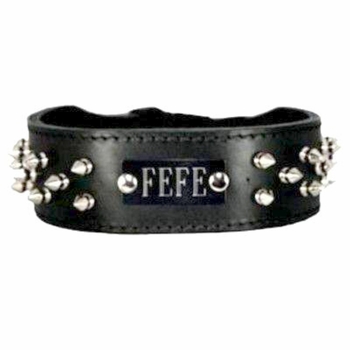 Spiked Leather Collar with Name Plate