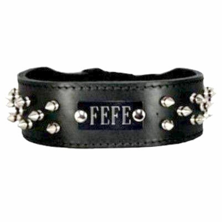 Spiked Leather Collar with Name Plate