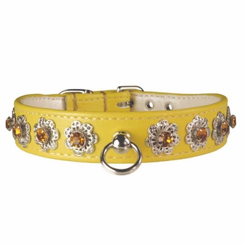 Starburst Rhinestone Collars