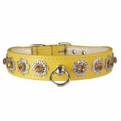 Starburst Rhinestone Collars