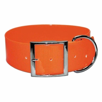  Sunglo 2-inch-wide Orange Dog collar