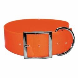  Sunglo 2-inch-wide Orange Dog collar