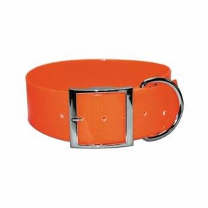  Sunglo 2-inch-wide Orange Dog collar