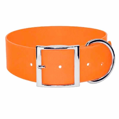 Sunglo 2-inch-wide Orange Dog collar