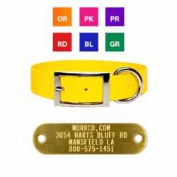  Sunglo collar with Name Plate 1 in wide