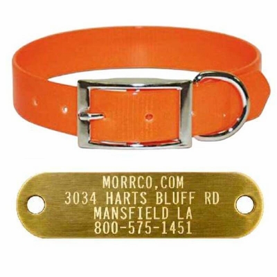 Sunglo collar with Name Plate 1 in wide