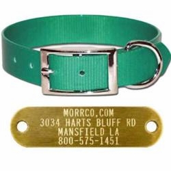  Sunglo collar with Name Plate 1 in wide