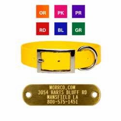  Sunglo collar with Name Plate 1 in wide