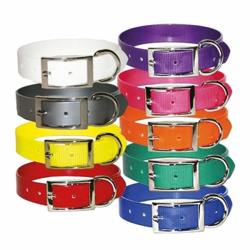 Sunglo Ring Next to Buckle 3/4 Inch Wide