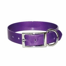 Sunglo Ring Next to Buckle 3/4 Inch Wide