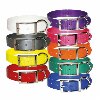 Sunglo Ring Next to Buckle 3/4 Inch Wide