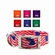 Sunglo Ring Next to Buckle 3/4 Inch Wide